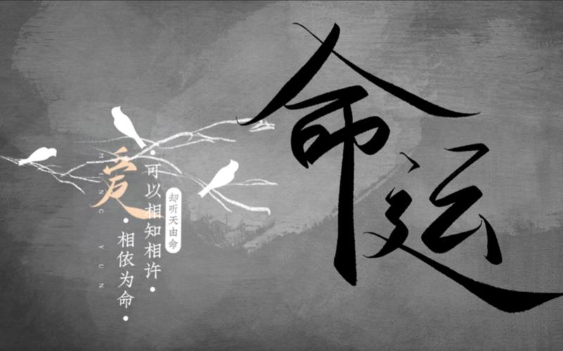  命运