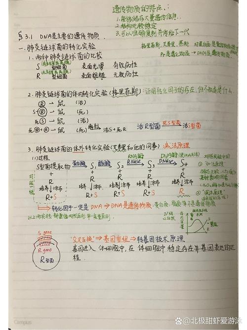 学霸DNA