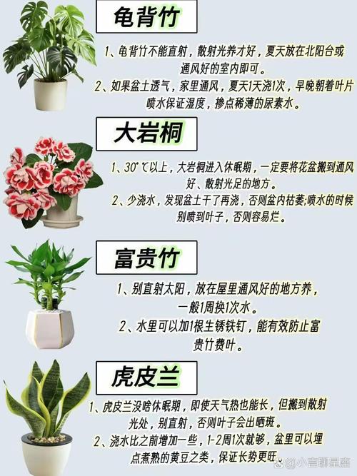 养护方法