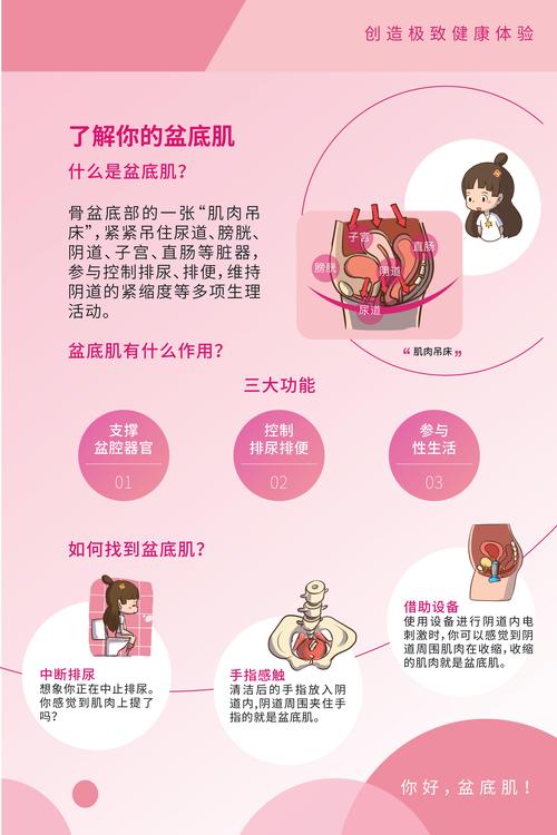  盆底治疗