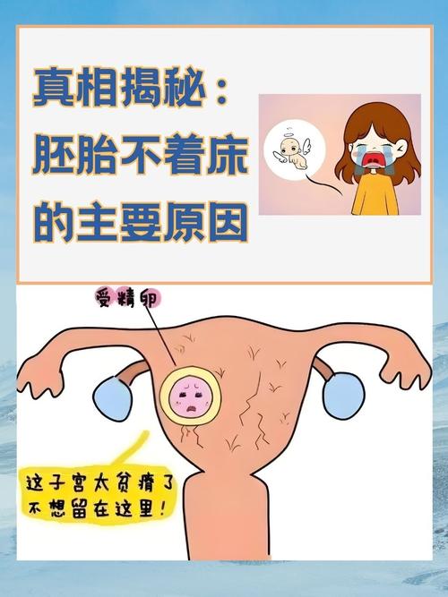 胚胎不足