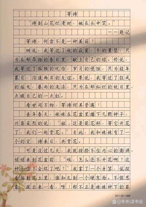 等待您提供具体的文本内容