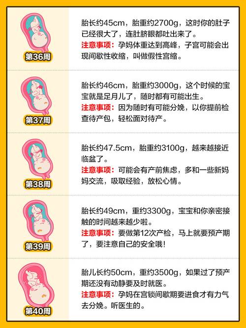B超单解读