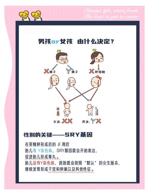孩子性别选择