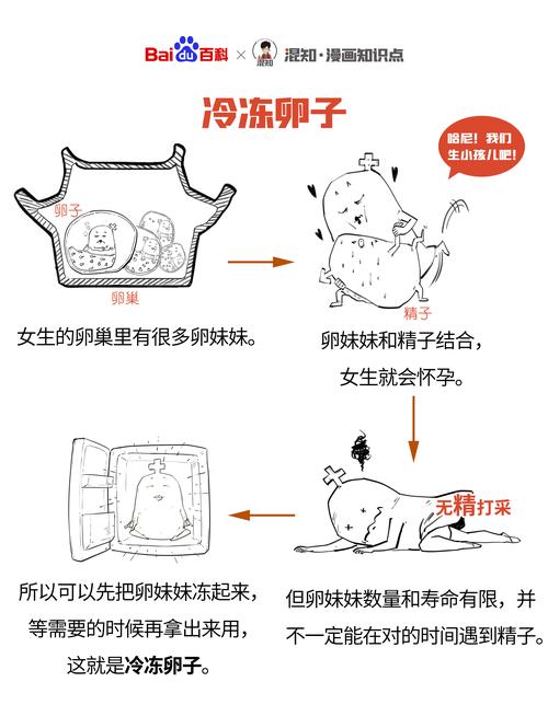  卵泡冷冻