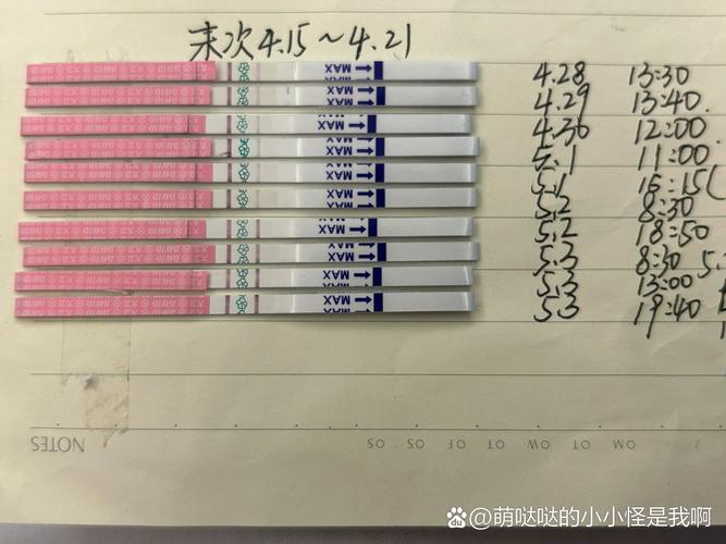 卵泡测试