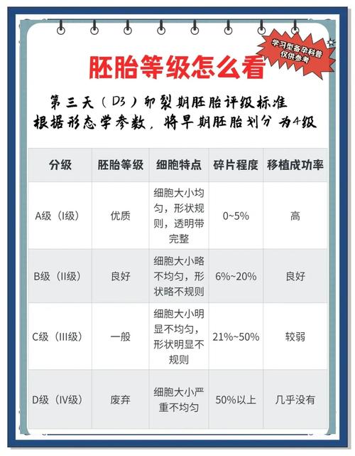 胚胎1级