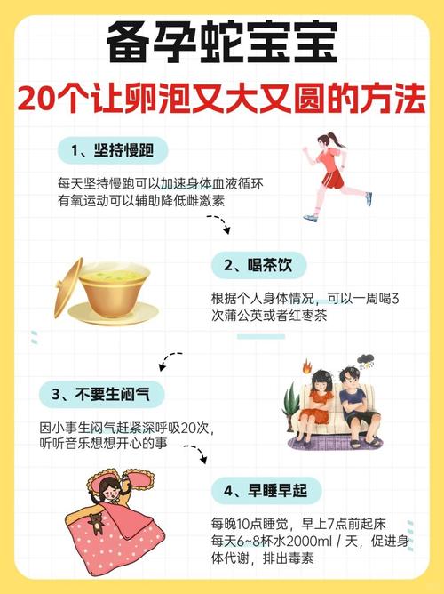 卵泡护理