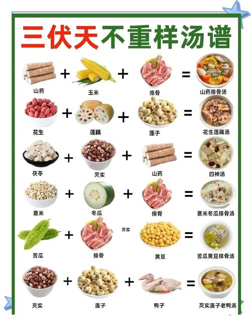 养生汤谱