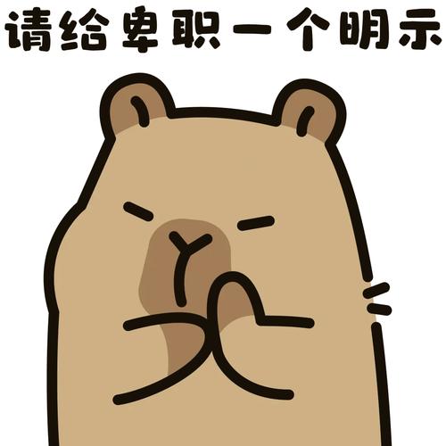 欢迎随时与我沟通。我随时待命