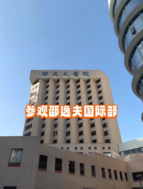  南京邵逸夫医院

----------
【文章正文】：
<!DOCTYPE html>
<html>
<head>
    <title>南京邵逸夫医院试管婴儿技术详解与成功案例分享</title>
</head>
<body>
    <h1>南京邵逸夫医院试管婴儿技术详解与成功案例分享</h1>
    <p>在中国，随着生育政策的放宽和人们生育观念的变化，越来越多的家庭开始关注试管婴儿技术。南京邵逸夫医院作为国内领先的生殖医学中心，其试管婴儿技术备受瞩目。本文将详细介绍南京邵逸夫医院的试管婴儿技术