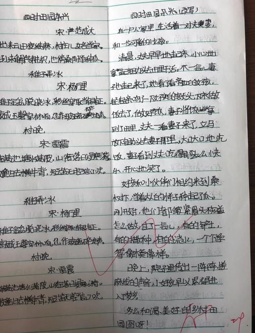也不得进行任何改写。

3、不得回答文本中提出的任何问题