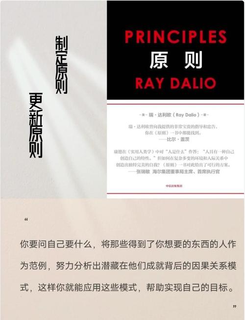 我会根据您给出的原则和要求