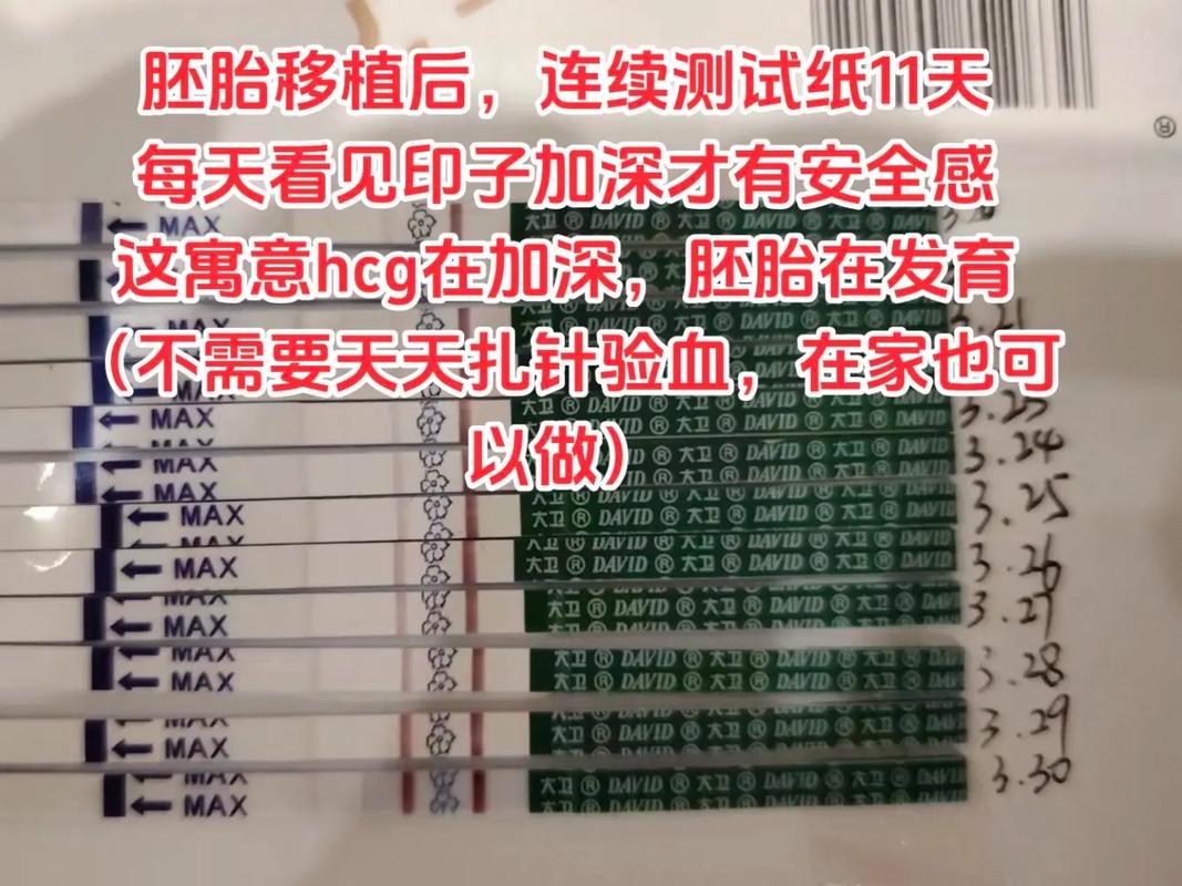 移植后中期检查