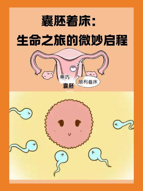 定向着床
