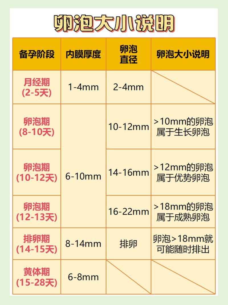 卵泡健康评估