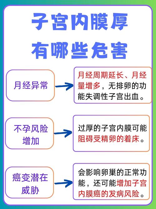 子宫内膜影响因素