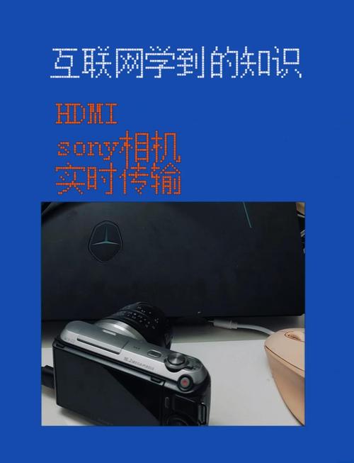 不要输出任何其他解释或说明；- 只输出视频ASR文本部分