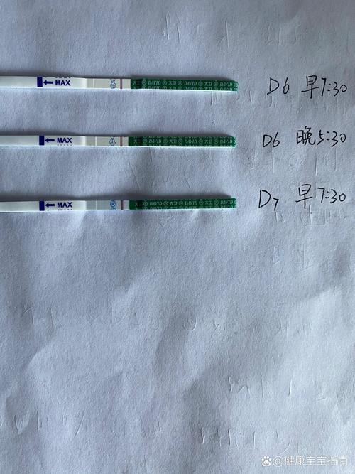 移植七天