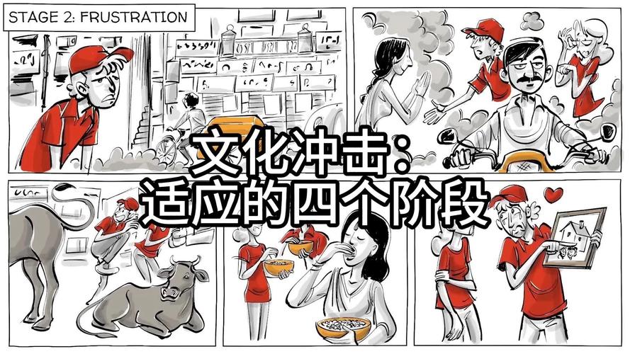  文化适应