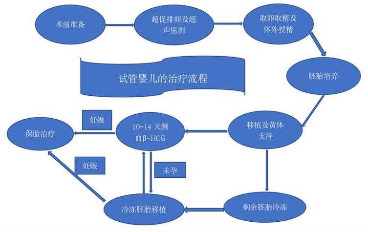  IVF三代技术