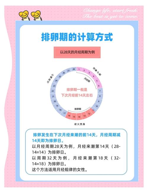 拟排卵方案