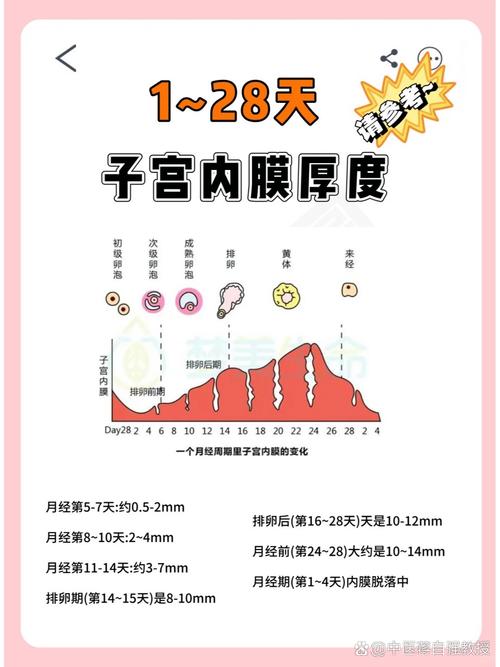 子宫内膜厚度不均