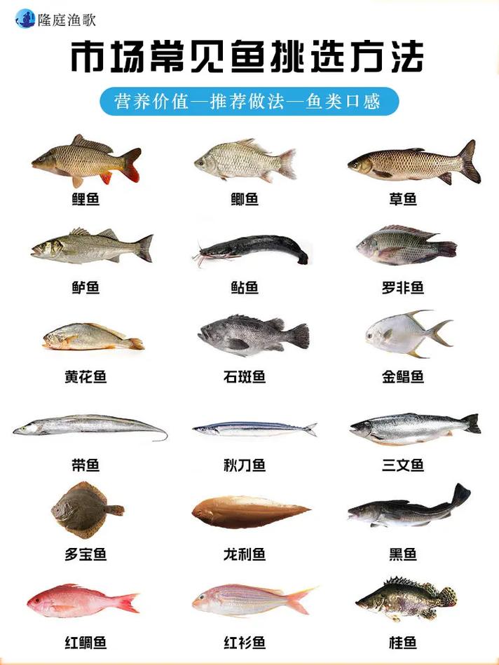  鱼类选择