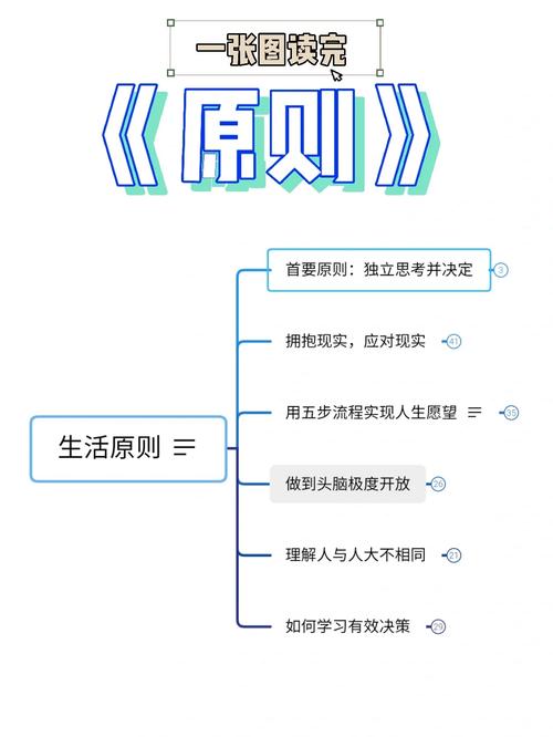 我会根据您给出的原则进行总结。现在
