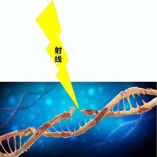 基因阻断技术