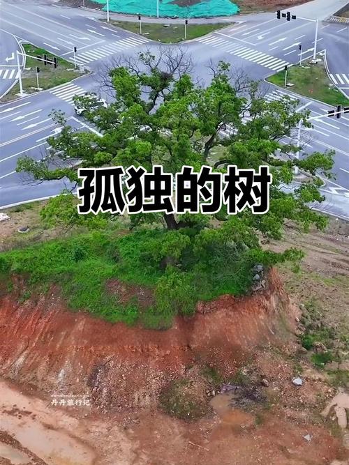 湖北黄石