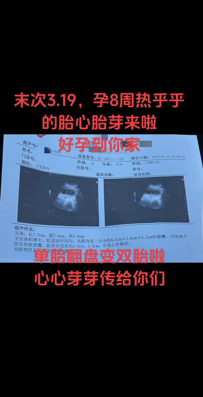 胎芽胎心发育缓慢