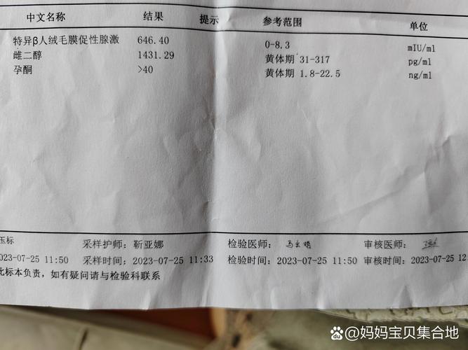 移植15天检查