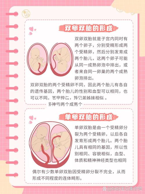 双胞胎注意事项