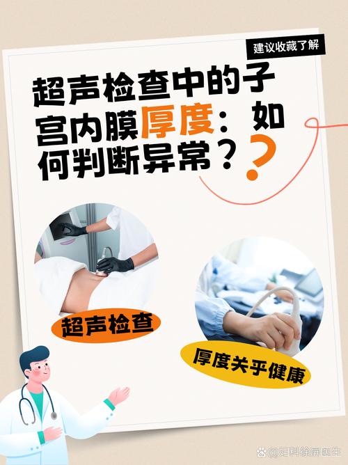 内膜厚度检查