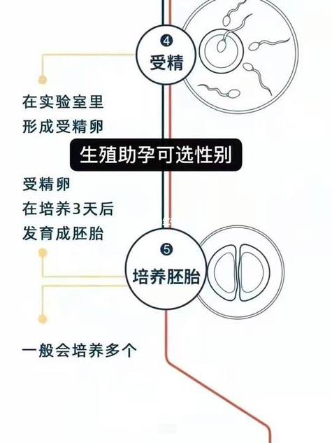 生殖技术
描述: 本文围绕俄罗斯试管婴儿助孕展开，揭秘其全程流程，分享成功受孕心得，阐述前期准备、具体流程及关键因素，为有需要的家庭提供参考，助其了解该助孕技术，增添求子希望 。