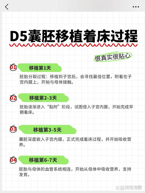 移植后着床