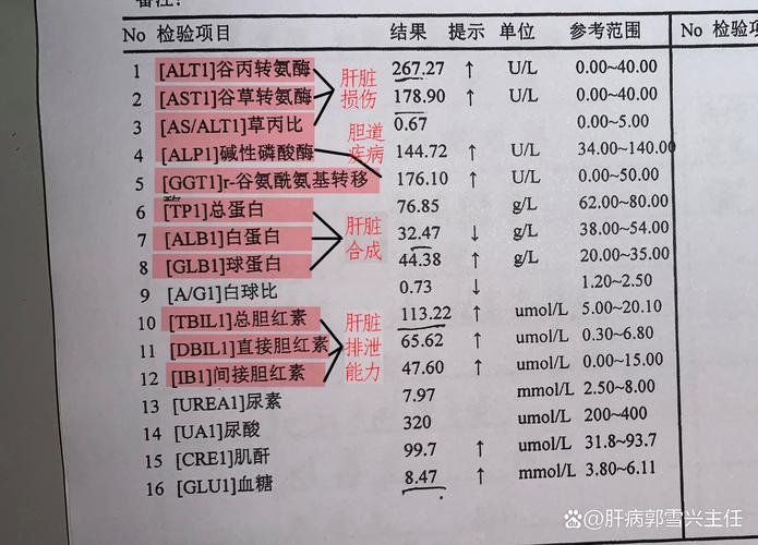 肝功能监测