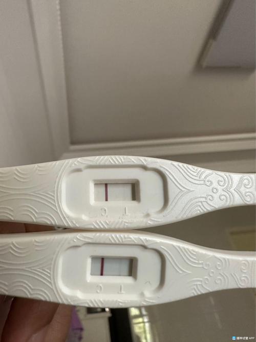 移植后七到八周