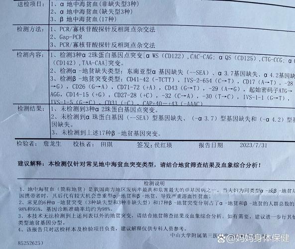 地贫基因突变28