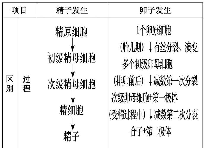 一代受精方式