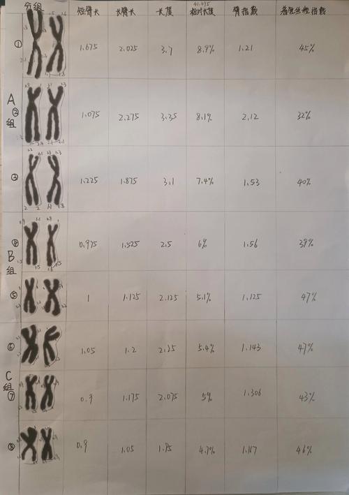 染色体解析