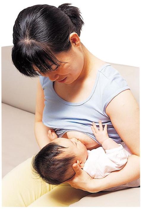  哺乳