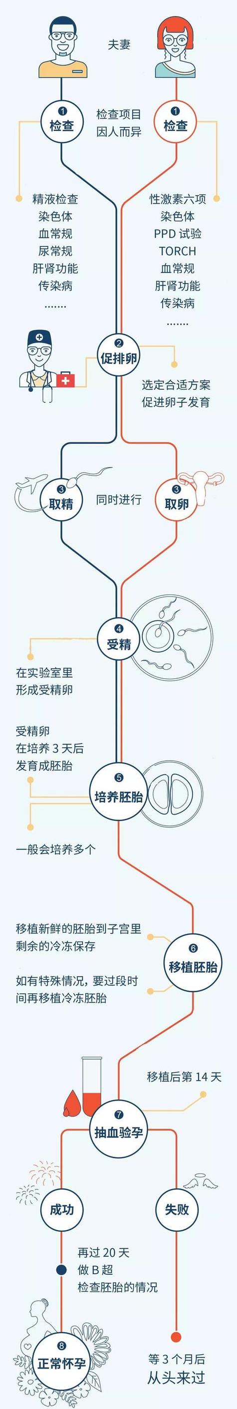 试管婴儿故事