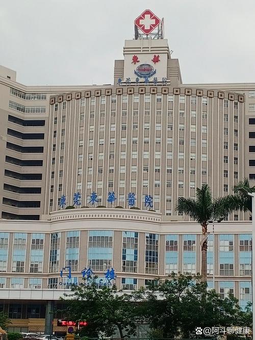  东莞东华医院