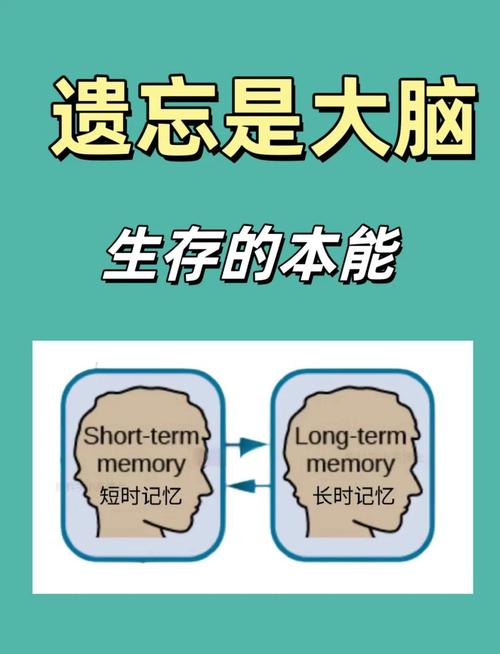 短期记忆