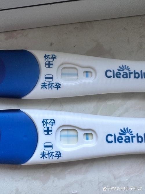 囊胚第七天
