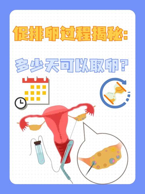 促排卵过程
