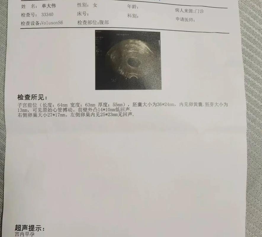  胚囊检查