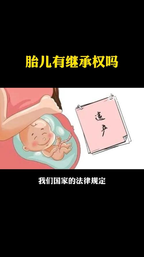 胚胎继承权